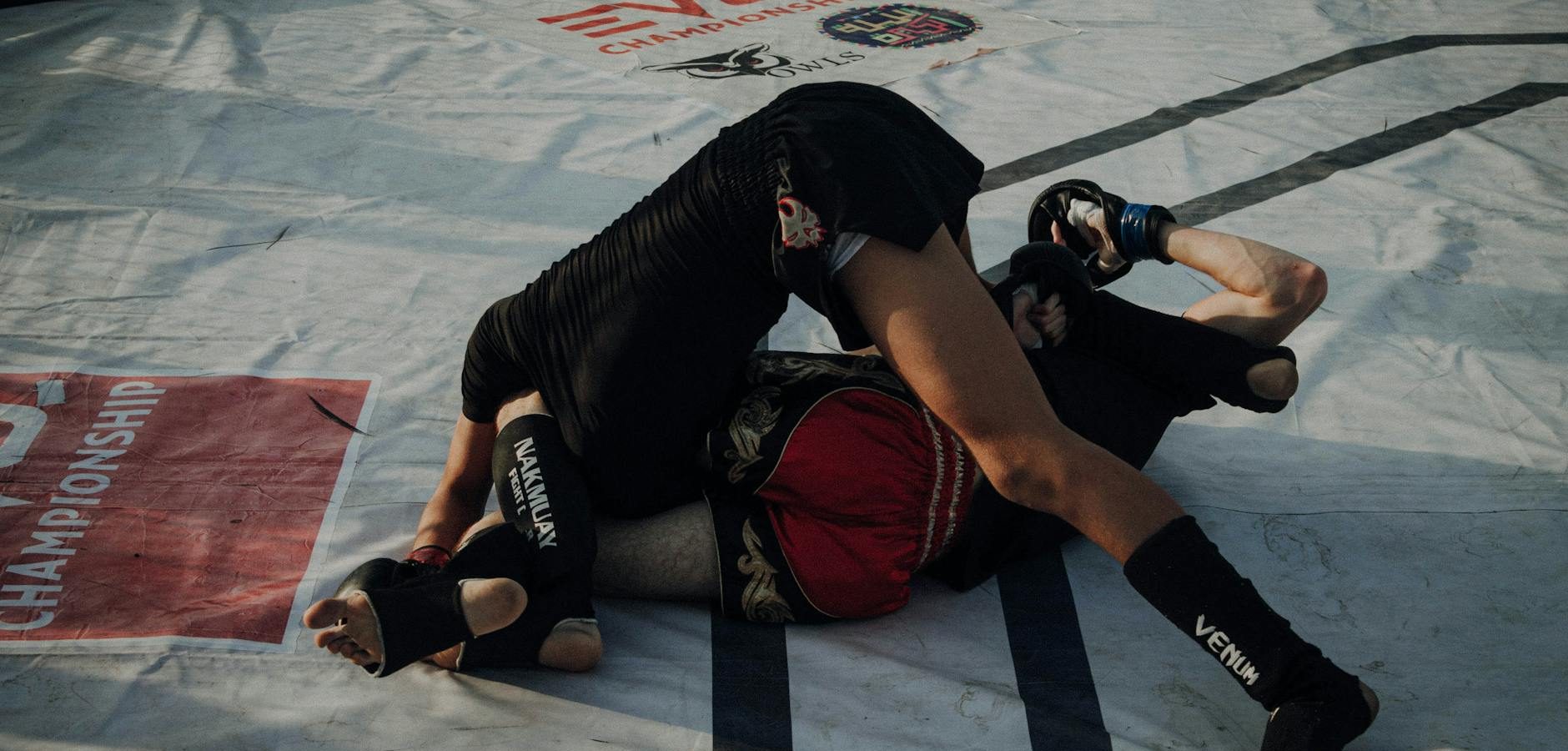 Paramount+ Announces Ultimate Fighter Premiere Date & Details